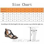 Women Wedge Heel Sandals Lightweight PU Wear-Resistant Sandals with Zipper Ladies Peep Toe Comfy Beach Shoes 004 39EU