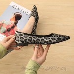 Women Classic Pointy Toe Ballet Flats Leopard Printed Slip On Low Heels Basic Office Dress Shoes