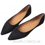 Women's Pointy Toe Ballet Flats Comfortable Slip-on Casual Dress Walking Shoes