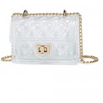 YIKOEE Quilted Mini Clear Purse for Women with Chain Strap and Twist Lock